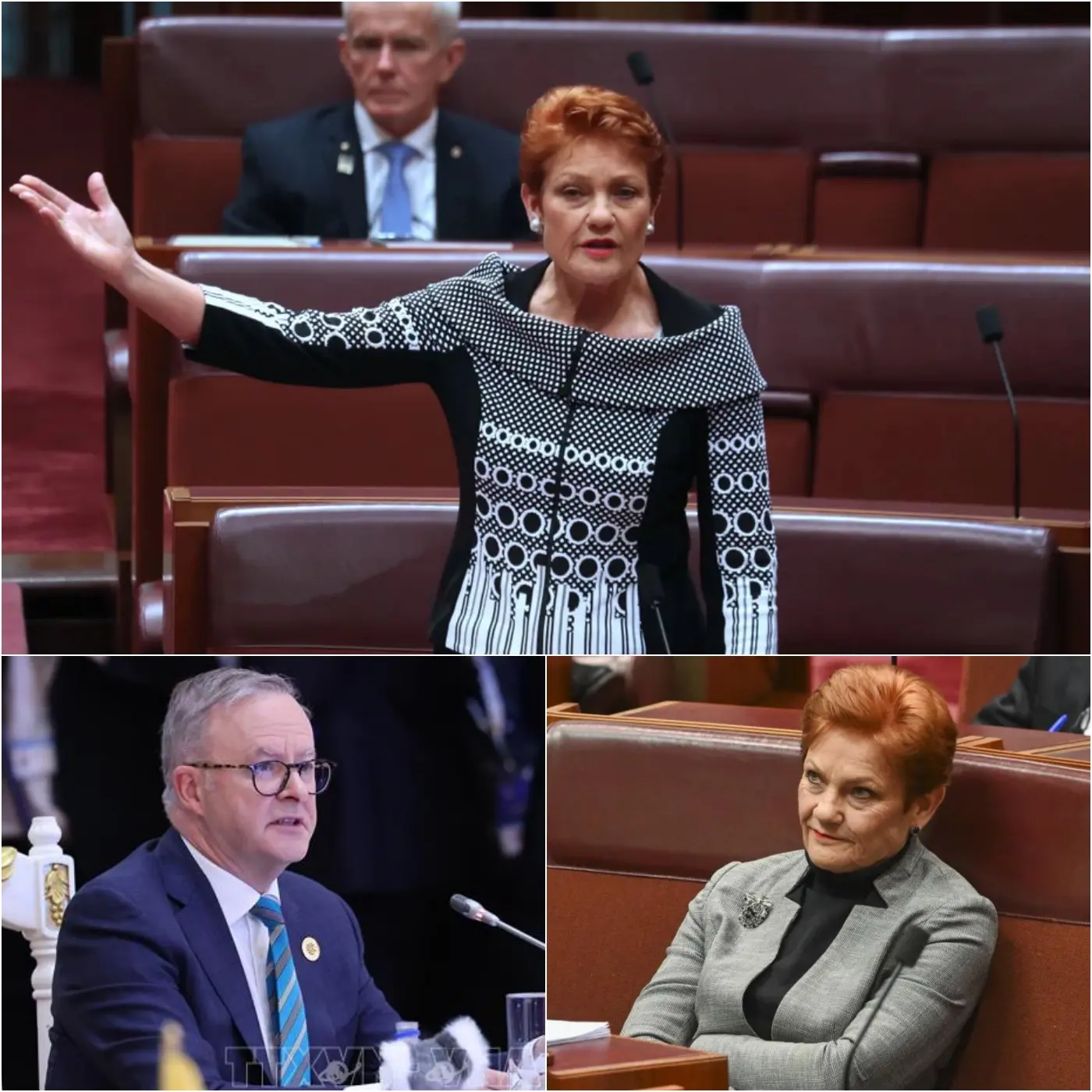 Cover Image for “ALBANESE FURIOUS AND WANTS TO EXCLUDE AUSTRALIANS DEMANDING PAULINE HANSON AS PRIME MINISTER” Anthony Albanese FURIOUSLY convenes an emergency internal Labor Party meeting as people protest DEMANDING Hanson as the next prime minister. While Albanese avoids issues on taxes, immigrants, … Hanson has delivered a message that living costs are rising, taxes are heavy, quality of life is declining, housing tax nightmare, uncontrolled migration and poor public services. The Labor Party falls into severe crisis and risks collapse. It seems the people have realized that the Labor Party is slowly eroding them so support, the old order is collapsing, and the rise of Pauline Hanson is stronger than ever. Immediately after that, what made the people furious and sparked strong debates was Albo’s excuse that the people could not accept …👇👇