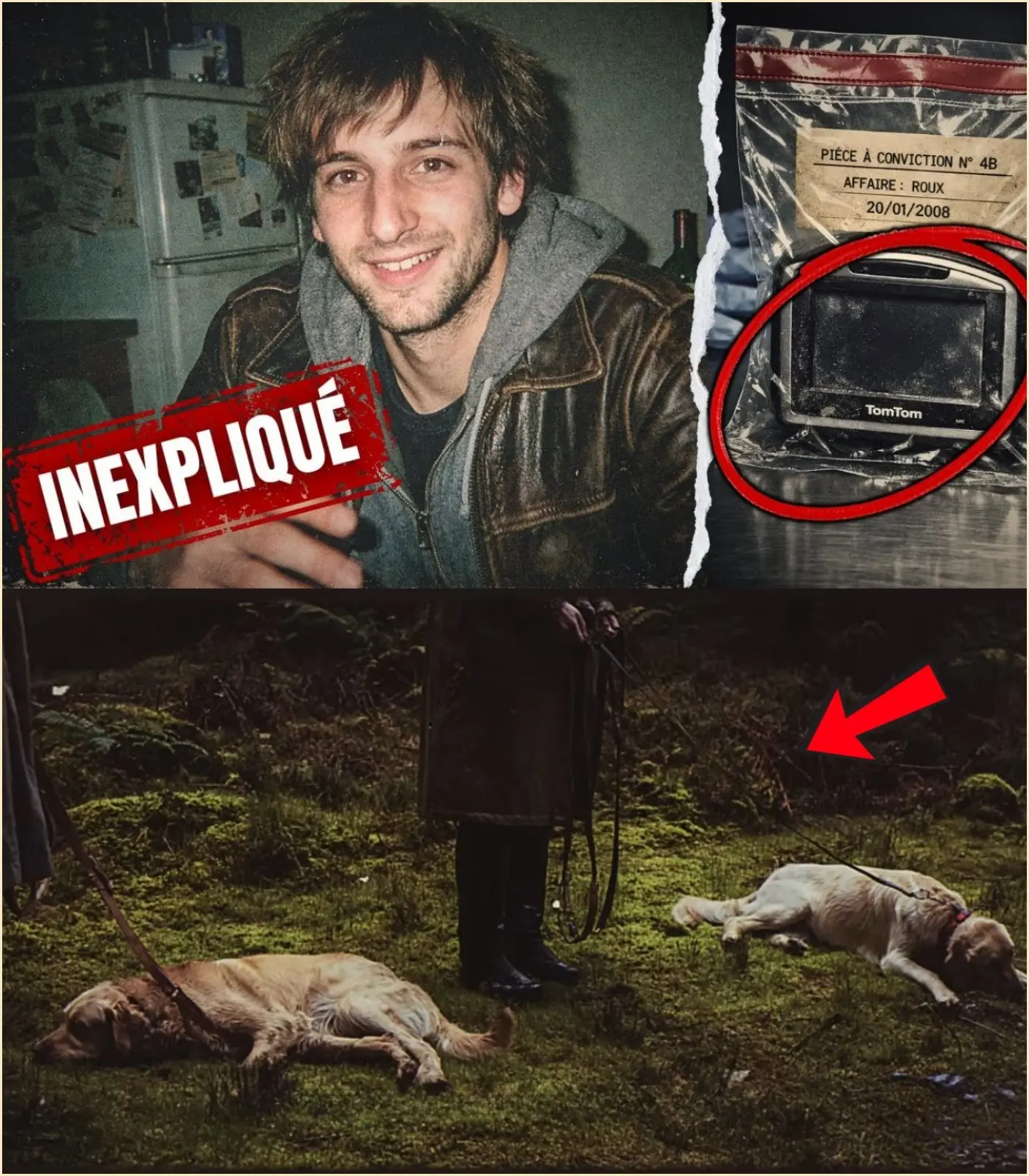 Cover Image for اختفى في رحلة مدتها 10 دقائق: بعد 15 عامًا، يكشف نظام تحديد المواقع (GPS) عن شذوذ مستحيل