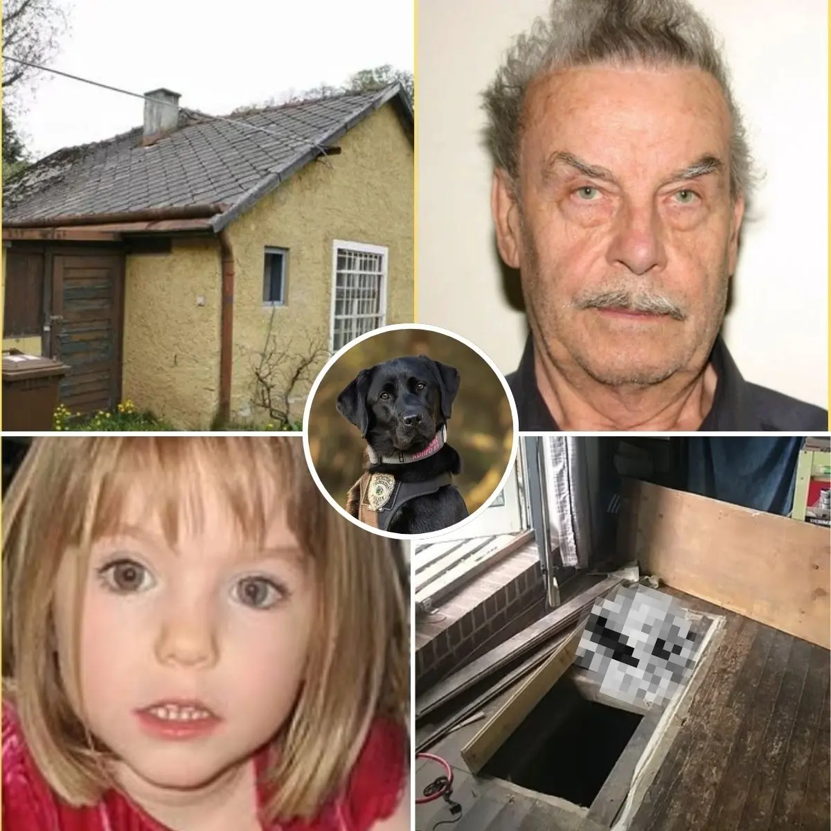 Cover Image for 🚨😱“Madeleine McCann IS HIER” — Een huiveringwekkende ontdekking: een kerker in de stijl van Josef Fritzl, verborgen in de kelder van het huis van Christian Brueckner. Hondenteams waren de eersten die de autoriteiten alarmeerden door woest te blaffen naar een afgesloten muur die de nachtmerrie verborg.