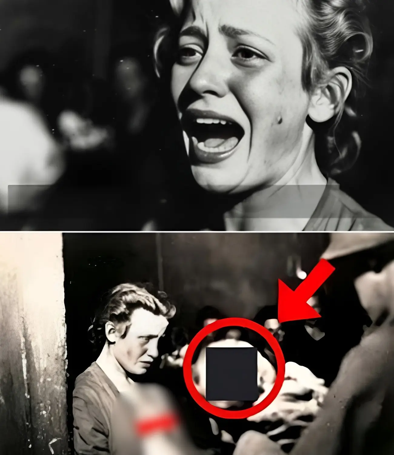 Cover Image for Quand une prisonnière française a accouché : ce qu’un soldat allemand a fait aux nouveau-nés