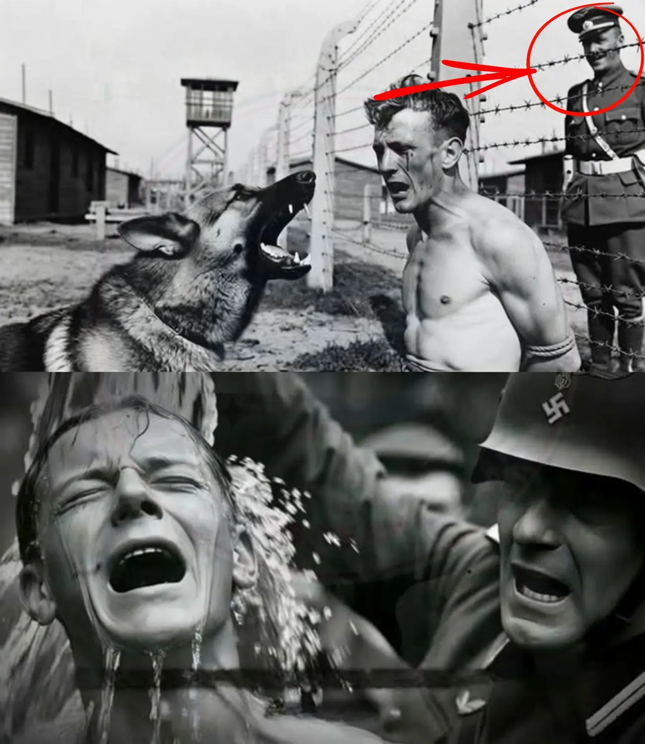 Cover Image for « Mordez-le là, FAS ! » hurla l’officier allemand, et à cet instant, le prisonnier sentit l’air se figer dans ses poumons.