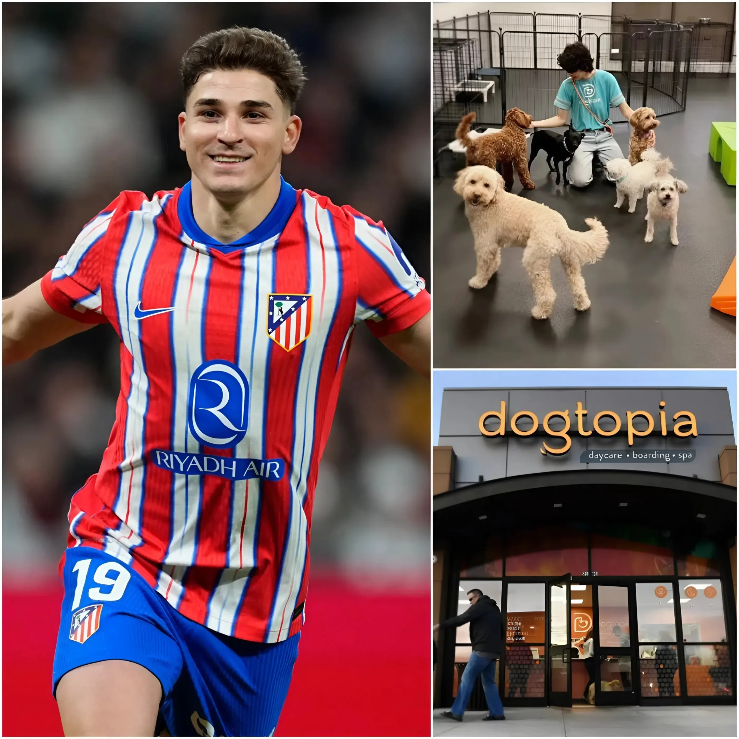 Cover Image for 💖 ¡Emocionante! Tras la pérdida de su querido perro, Julián Álvarez donó la mitad de sus premios en dinero para construir un centro moderno para perros sin hogar, mostrando solidaridad hacia otras vidas que necesitan ayuda… 😢