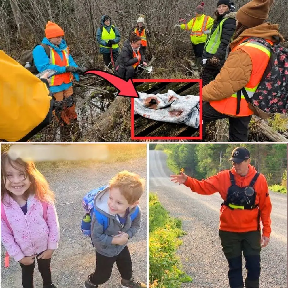 Cover Image for Un cazador pensó que era basura — luego vio la camiseta empapada en sangre del niño desaparecido de 11 años Jack Brennan colgando en el bosque 😱🩸