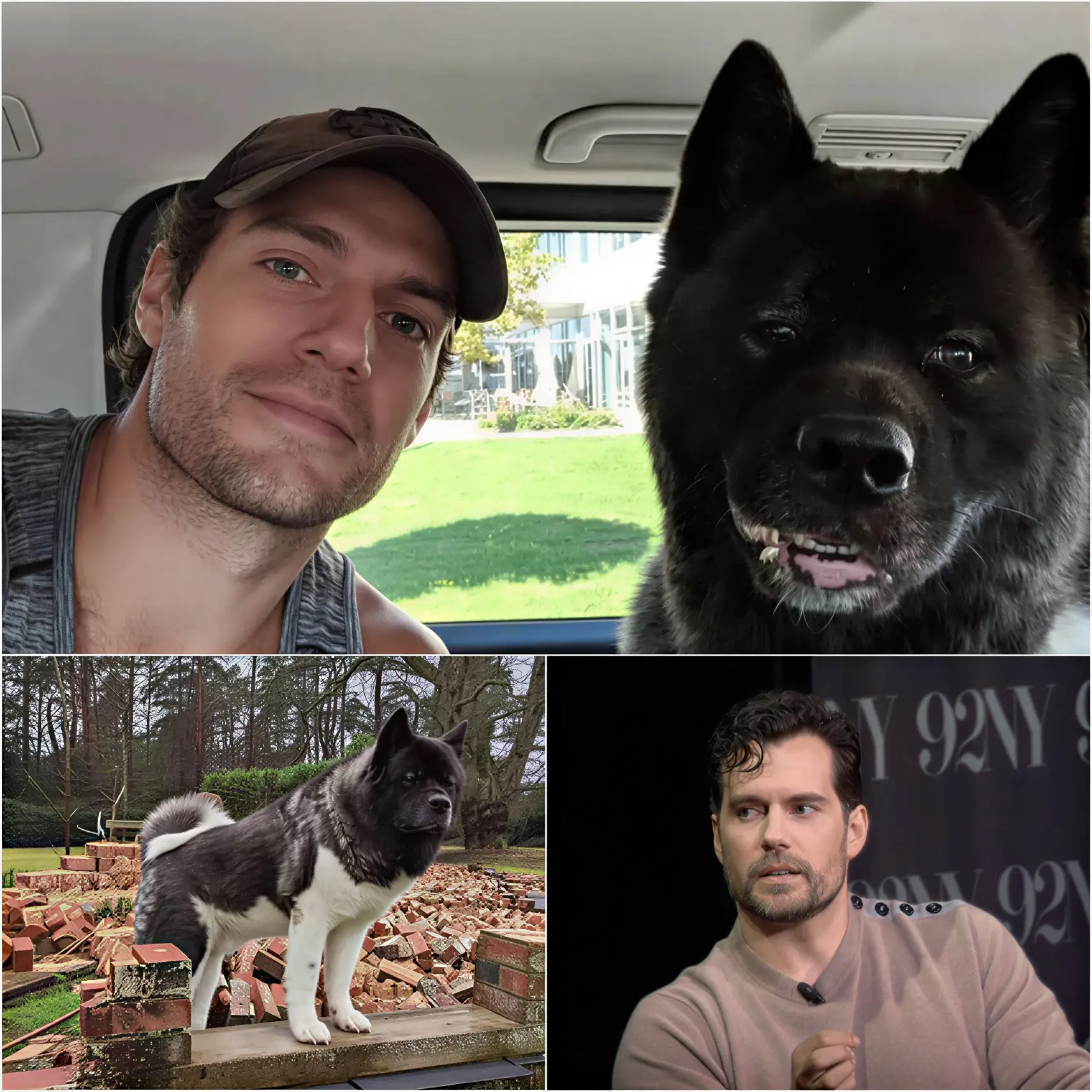 Cover Image for 🔴 “HE’S SAVED ME EMOTIONALLY AND PSYCHOLOGICALLY MORE TIMES THAN I CAN COUNT.” The Witcher star Henry Cavill opened up about the powerful bond with his beloved dog Kal, revealing how the loyal companion has helped him through some of the most demanding and overwhelming moments of his career. 🐾💙👇👇