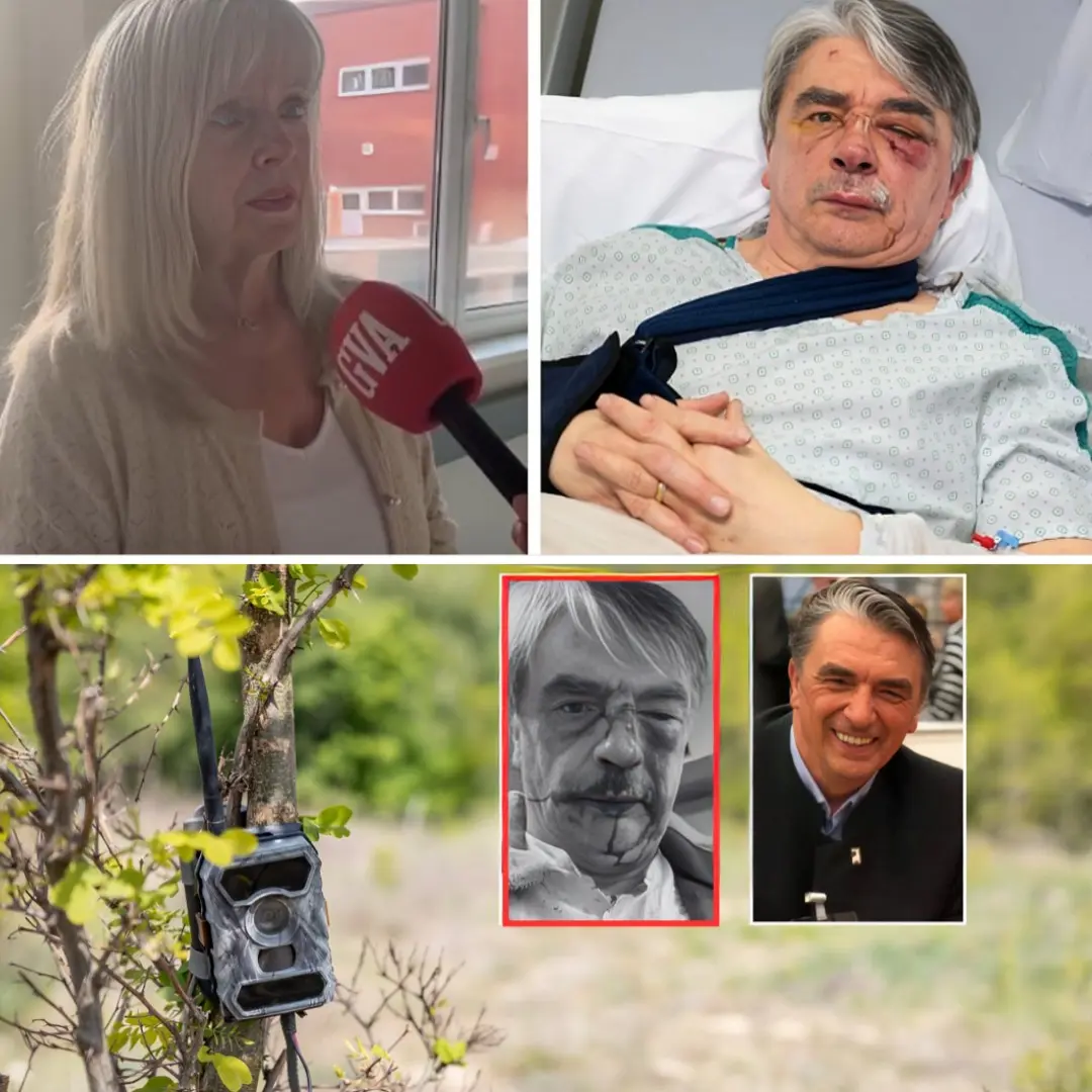 Cover Image for 🚨😱Voorzitter Hubertus Vereniging zwaar mishandeld in zijn jachtgebied: slachtoffer liep drie breuken op en had meerdere hechtingen nodig