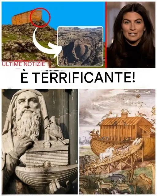 Cover Image for Sotto le montagne della Turchia, gli scienziati entrano dove nessuno avrebbe dovuto: scanner, passaggi nascosti e una struttura che ravviva con forza inquietante il mito dell’Arca di Noè.