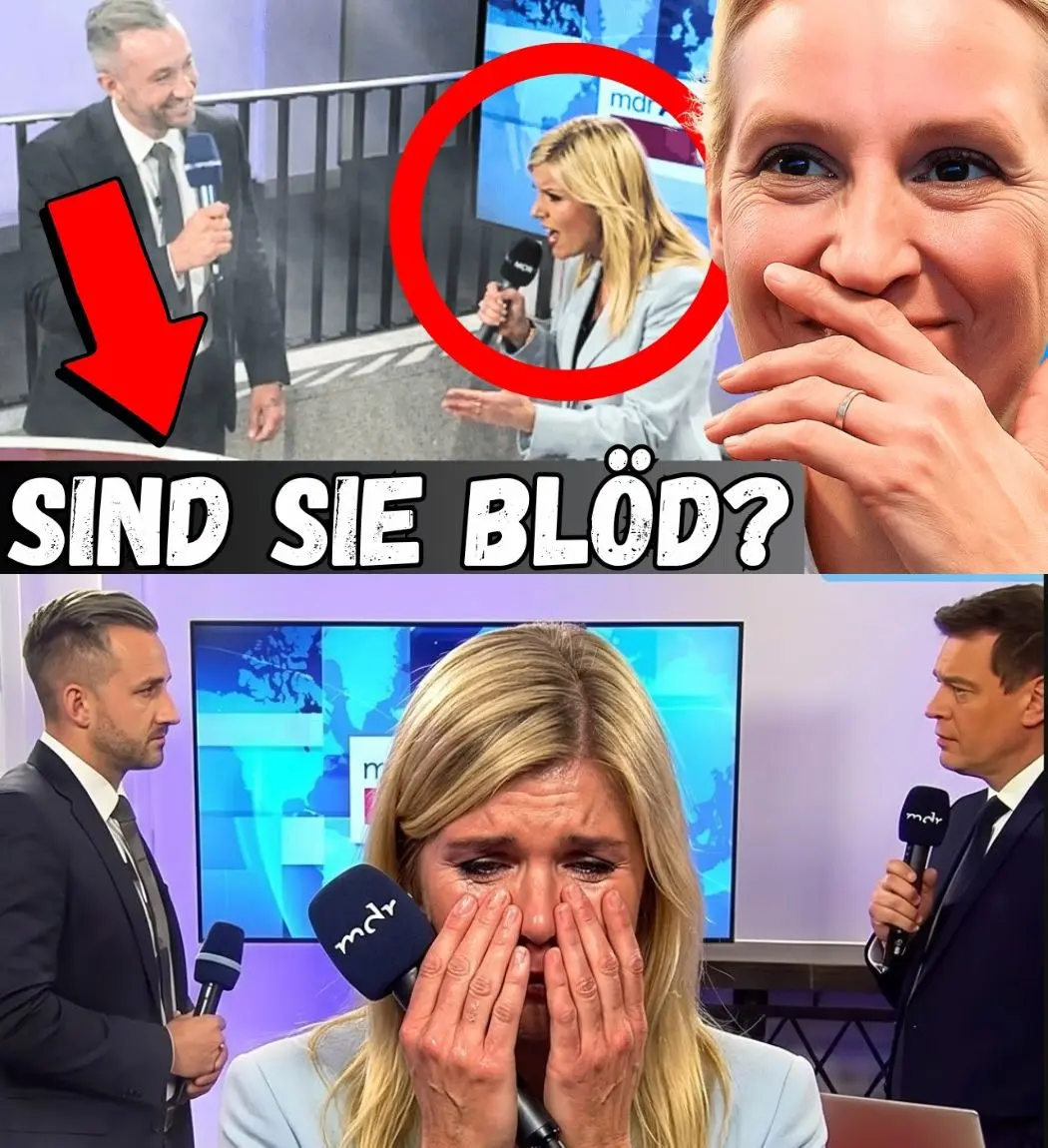 Cover Image for REPORTERIN PROVOZIERT SIEGMUND – UND BEREUT ES SOFORT! Szene überall zensiert!