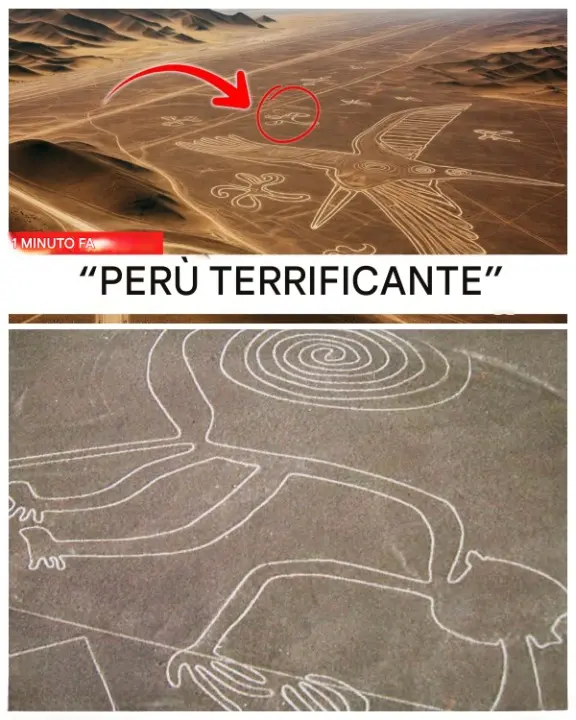 Cover Image for L’intelligenza artificiale rivela centinaia di figure nascoste nel deserto di Nazca: la scoperta che sta cambiando tutto ciò che credevamo di sapere sul misterioso messaggio inciso nella sabbia più di 2000 anni fa
