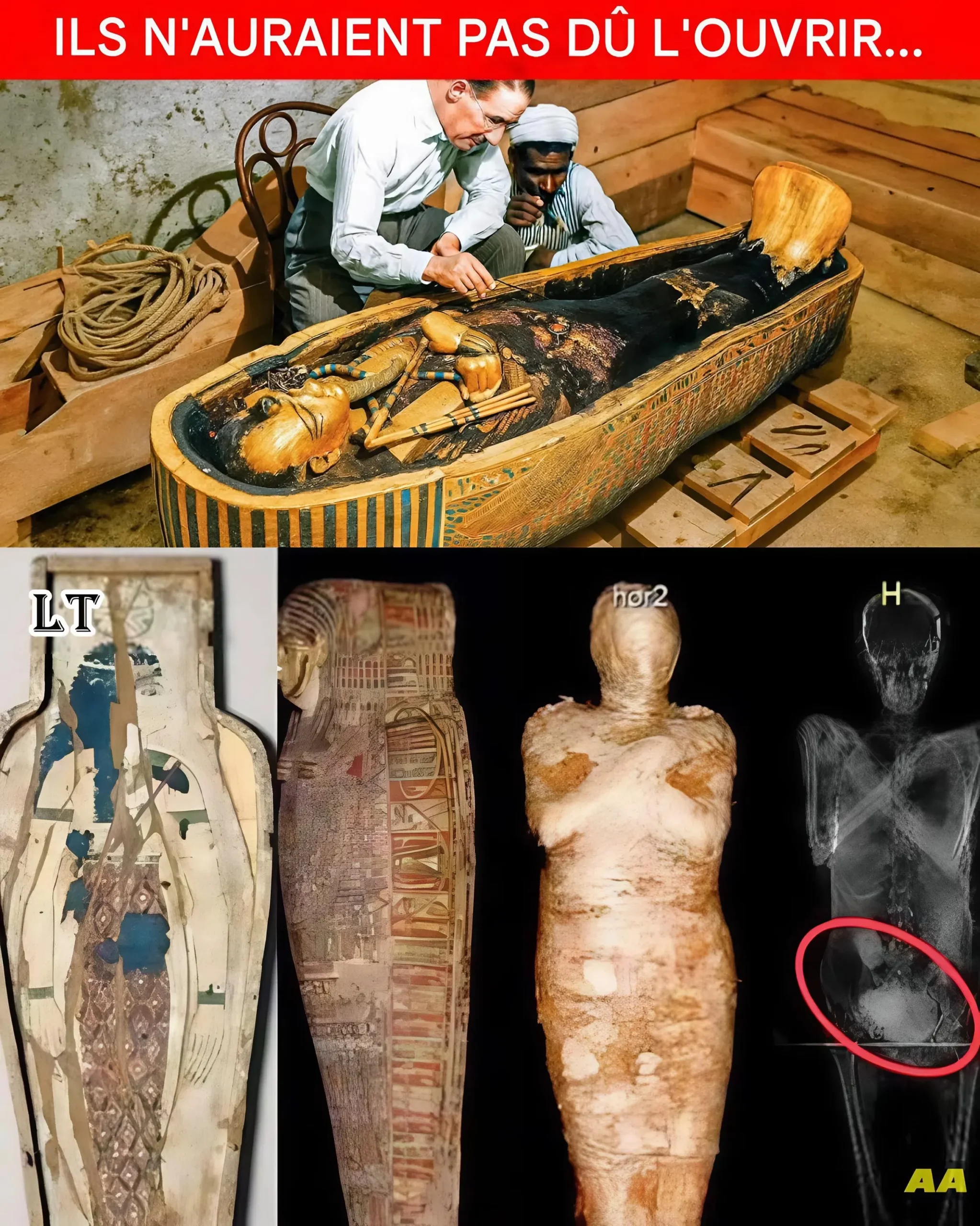 Cover Image for 2 300 ans plus tard, une momie égyptienne est enfin ouverte – ce que les scientifiques ont découvert laisse le monde sans voix