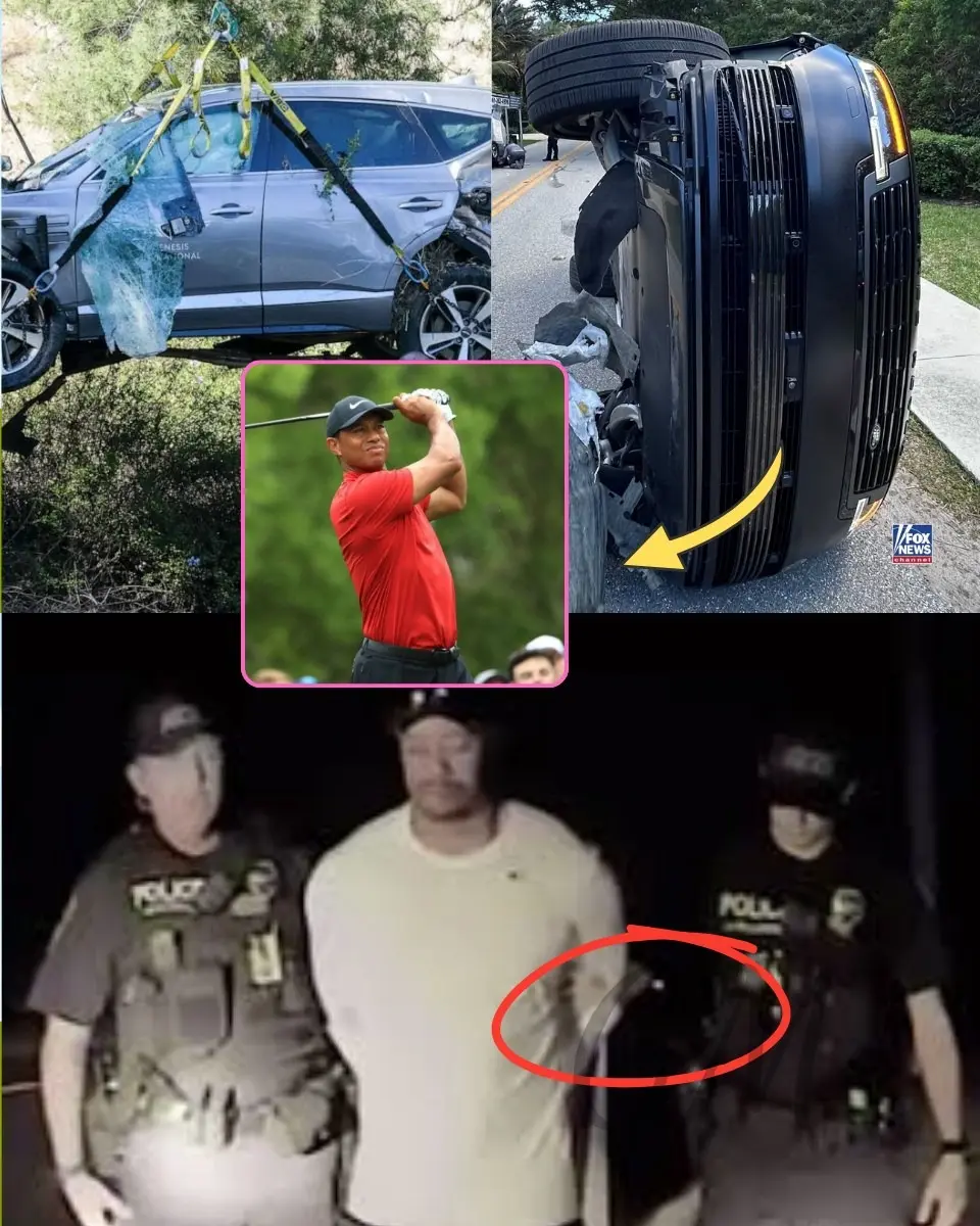 Cover Image for „ER HAT 0,0 % ERZIELT – ABER ER VERWEIGERTE DEN WIRKLICH WICHTIGEN TEST“: Tiger Woods’ nächtliche Verkehrskontrolle nimmt eine düstere Wendung, als Experten enthüllen, was er möglicherweise verheimlicht hat.