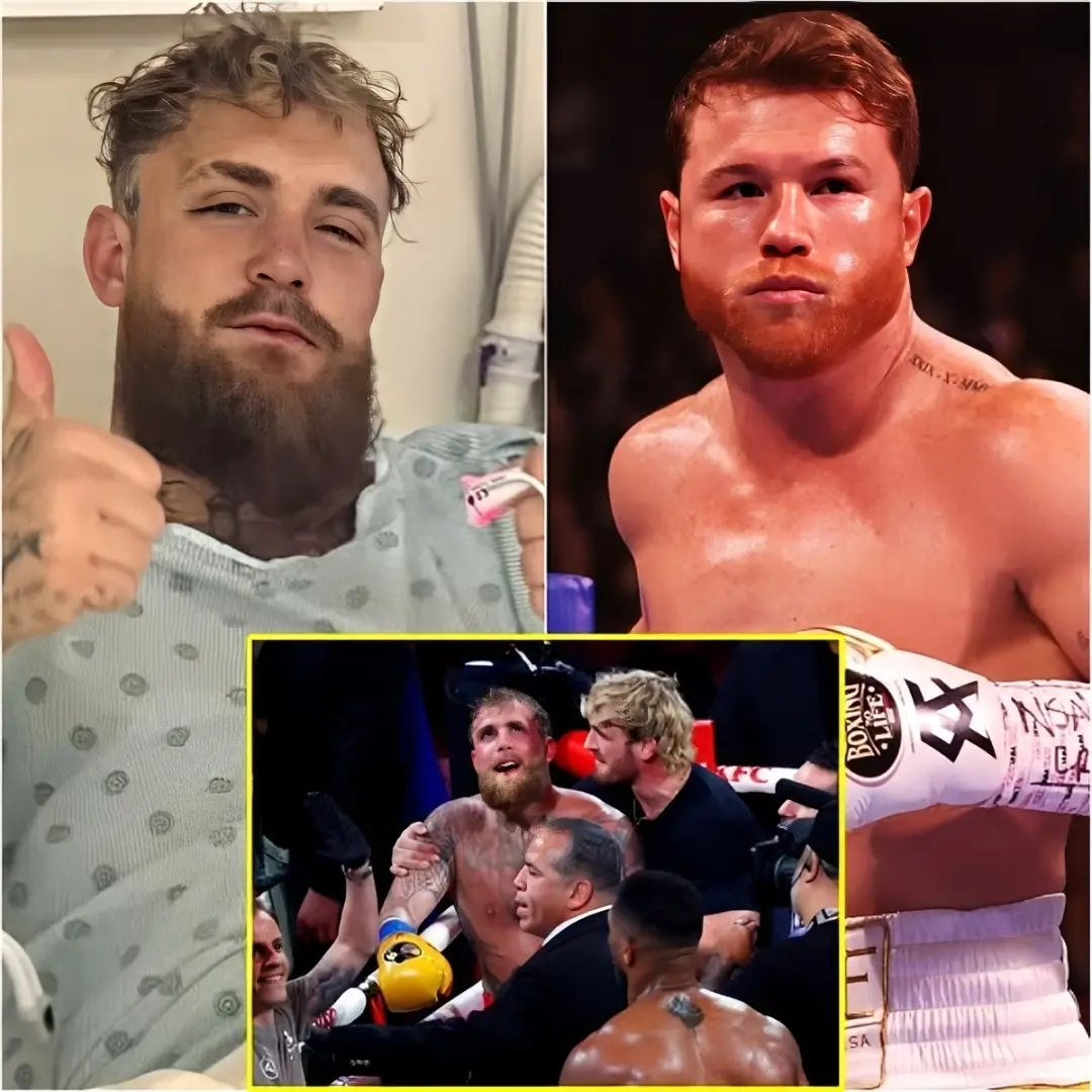 Cover Image for 😱“Dame a Canelo en 10 días”: Jake Paul reta a Canelo Álvarez a pesar de haber sufrido una fractura de mandíbula contra Anthony Joshua… pero el retorcido motivo detrás de esta acción tiene a los fanáticos furiosos… y un detalle susurrado lo hace parecer aún peor…