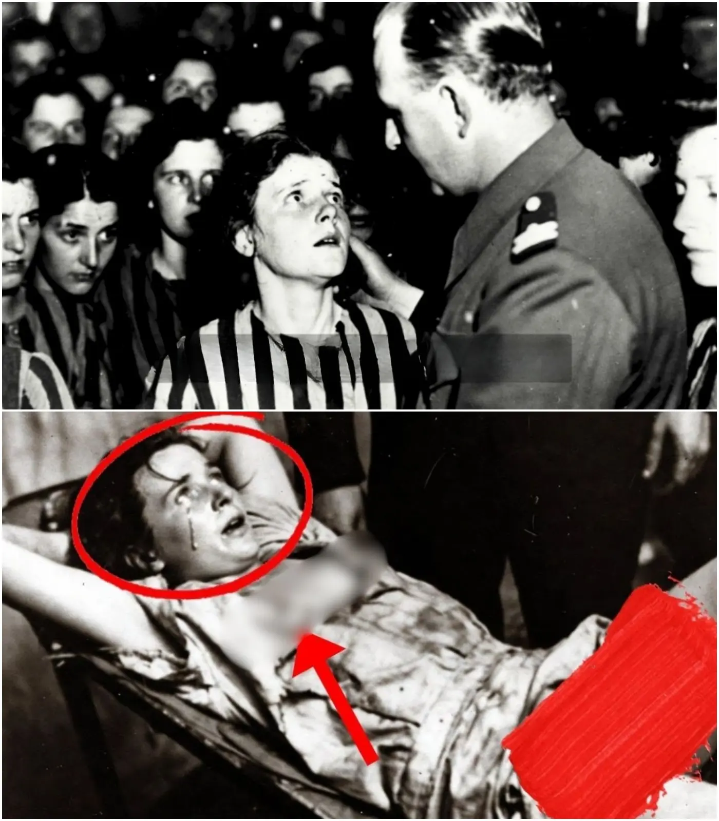 Cover Image for «Mi darai un figlio» – Il generale tedesco che mi costrinse a rimanere incinta