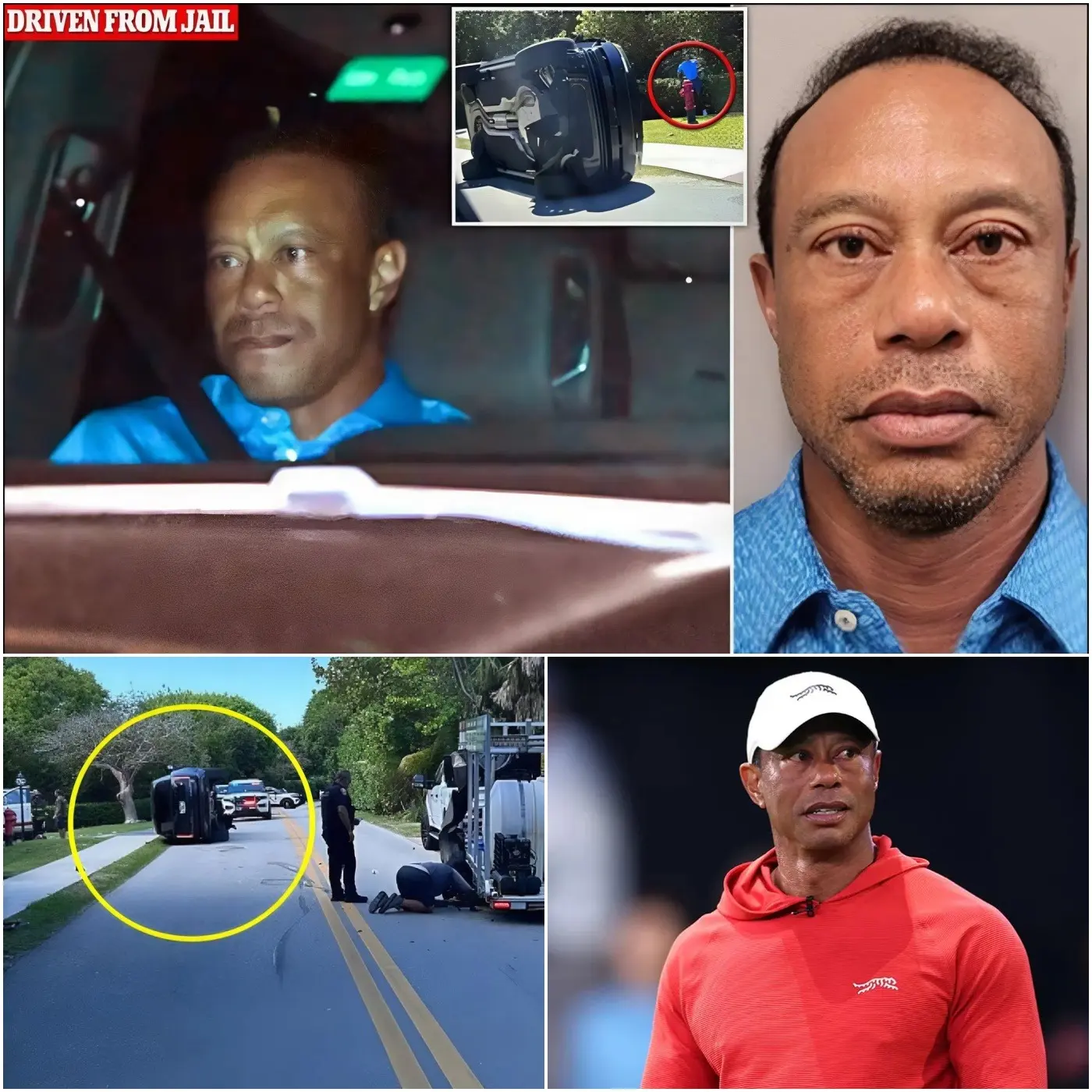 Cover Image for 8 ORE ALL’INFERNO: 🔴Tiger Woods esce dalla detenzione in condizioni scioccanti dopo un violento incidente con un camion e il ribaltamento di un SUV. La foto con gli occhi gonfi diventa virale mentre rifiuta il test delle urine nonostante i rischi legali, e un medico anonimo afferma di rivelare una verità inquietante sulle sue condizioni.