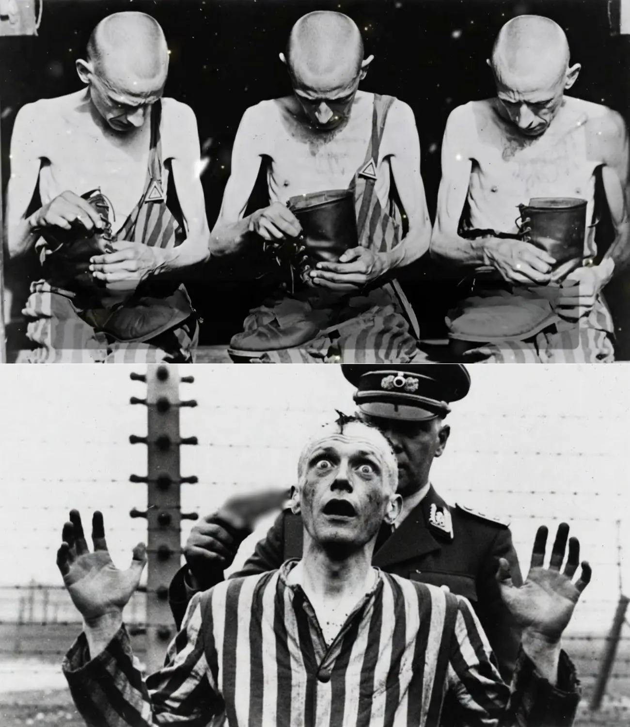 Cover Image for Prigionieri omosessuali sconcertati alla vista dei soldati tedeschi per la prima volta in…