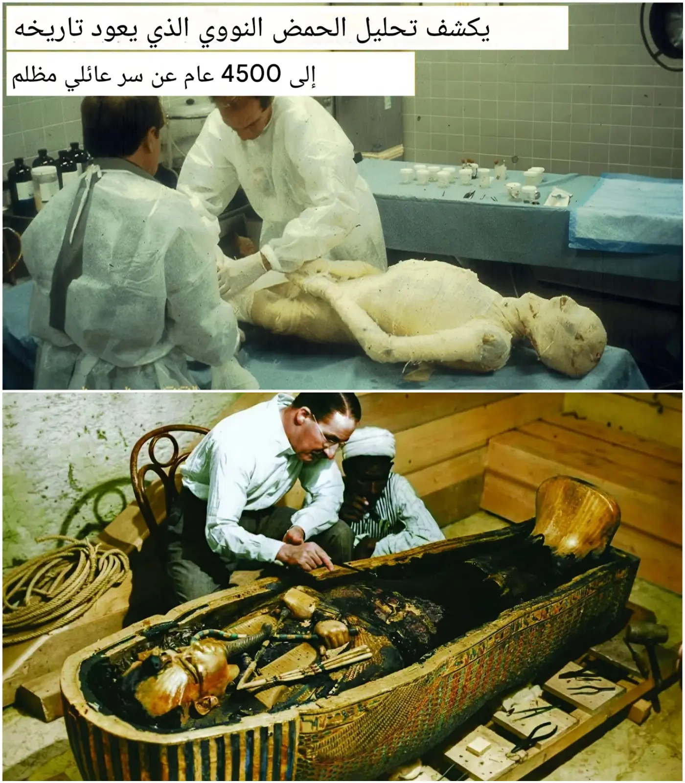 Cover Image for 🚨 اكتشاف في الحمض النووي يكشف السر الأكثر ظلامًا لملكٍ قديم