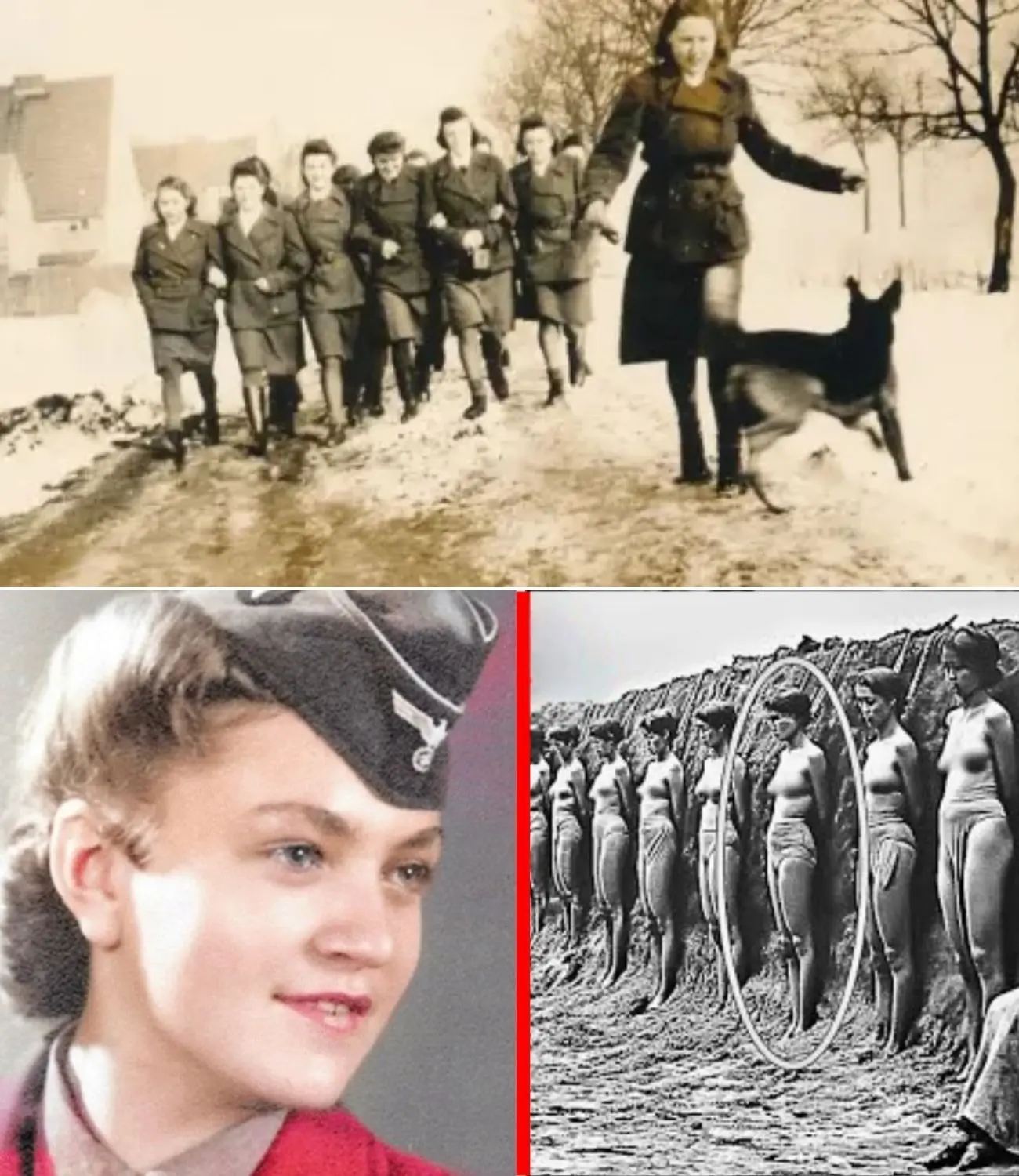 Cover Image for Ciò che le guardie naziste femminili facevano alle loro vittime è difficile da digerire!