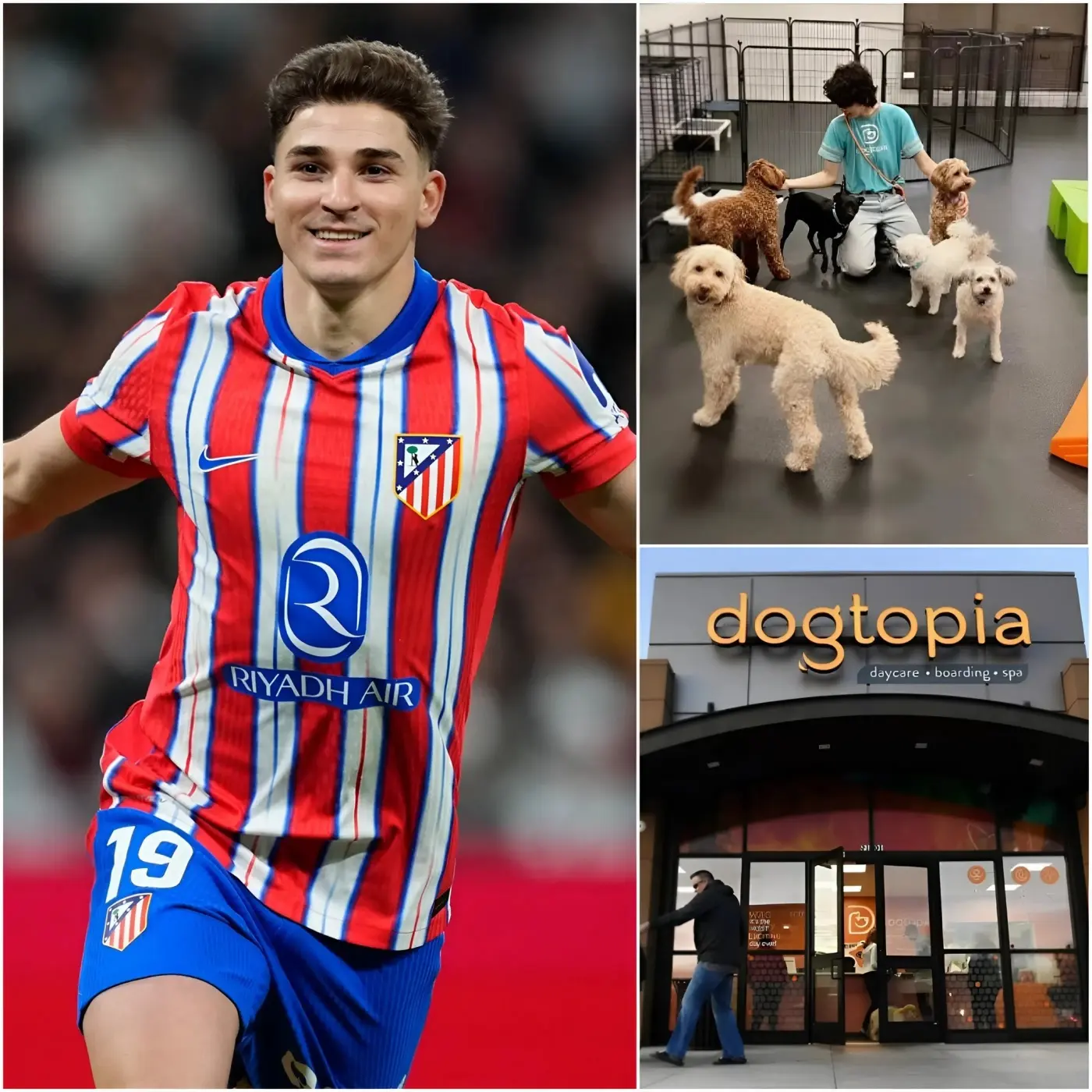 Cover Image for 💖 ¡Emocionante! Tras la pérdida de su querido perro, Julián Álvarez donó la mitad de sus premios en dinero para construir un centro moderno para perros sin hogar, mostrando solidaridad hacia otras vidas que necesitan ayuda… 😢