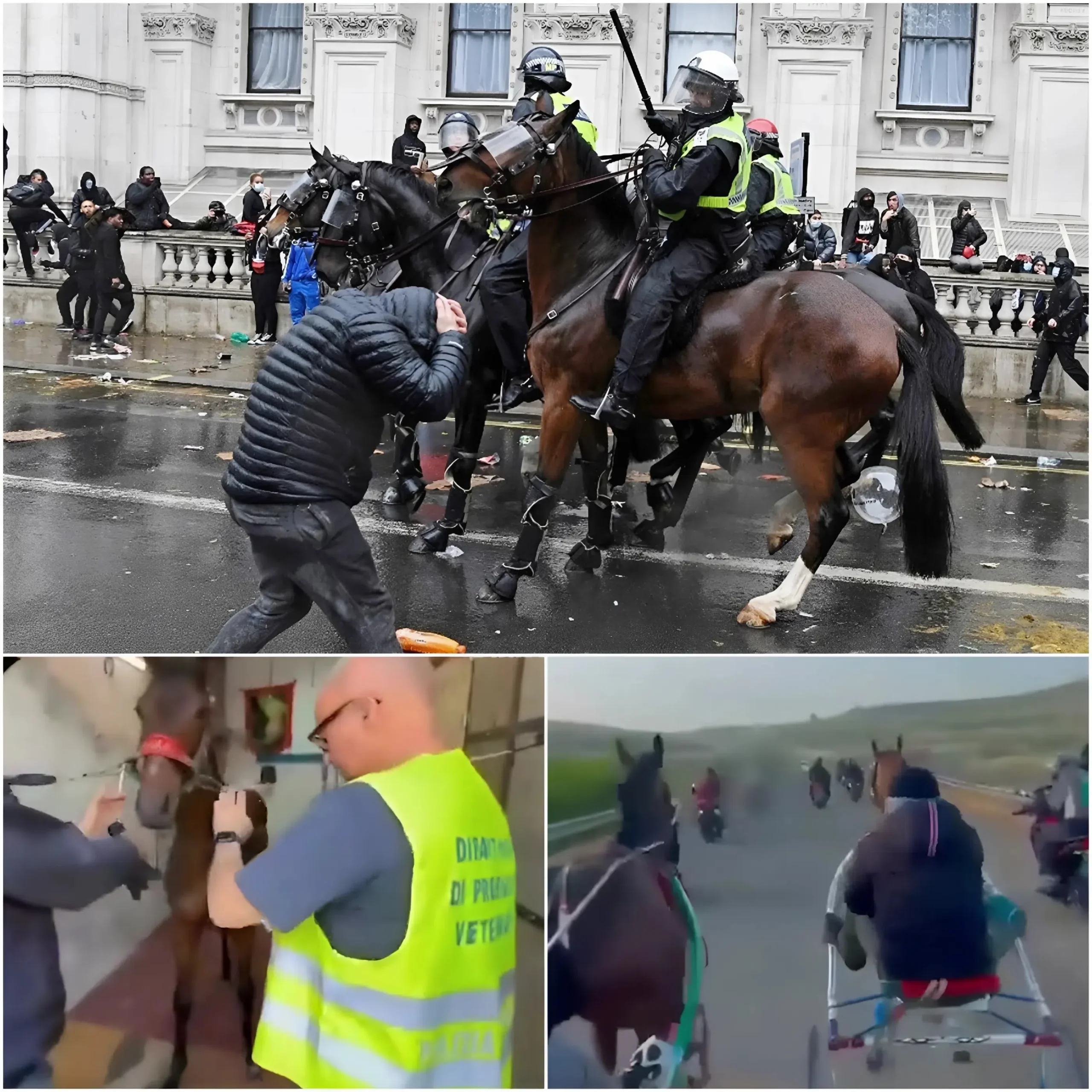 Cover Image for 🚨BREAKING: INSANE ITALIAN MAFIA GUNMEN SPRAY 🔫 AK-47 FIRE WHILE TAKING OVER AN ENTIRE HIGHWAY FOR ILLEGAL HORSE RACES!