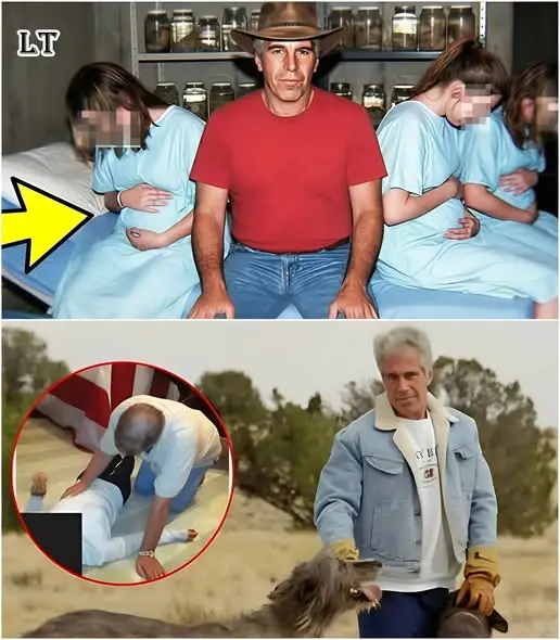 Cover Image for 🚨 ¡REVELACIÓN IMPACTANTE: EL HORROR OCULTO EN EL RANCHO ZORRO DE EPSTEIN! 😱 LO QUE REALMENTE SUCEDIÓ DETRÁS DE ESTOS MUROS TE PERSEGUIRÁ…