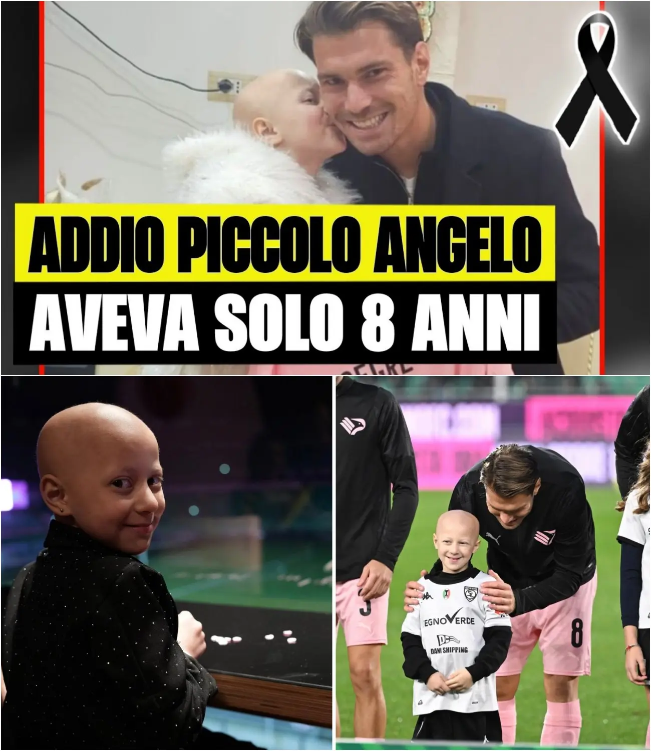 Cover Image for ⚠️ Una perdita semplicemente devastante. A soli 8 anni la nostra “piccola guerriera” ha chiuso gli occhi per l’ultima volta.