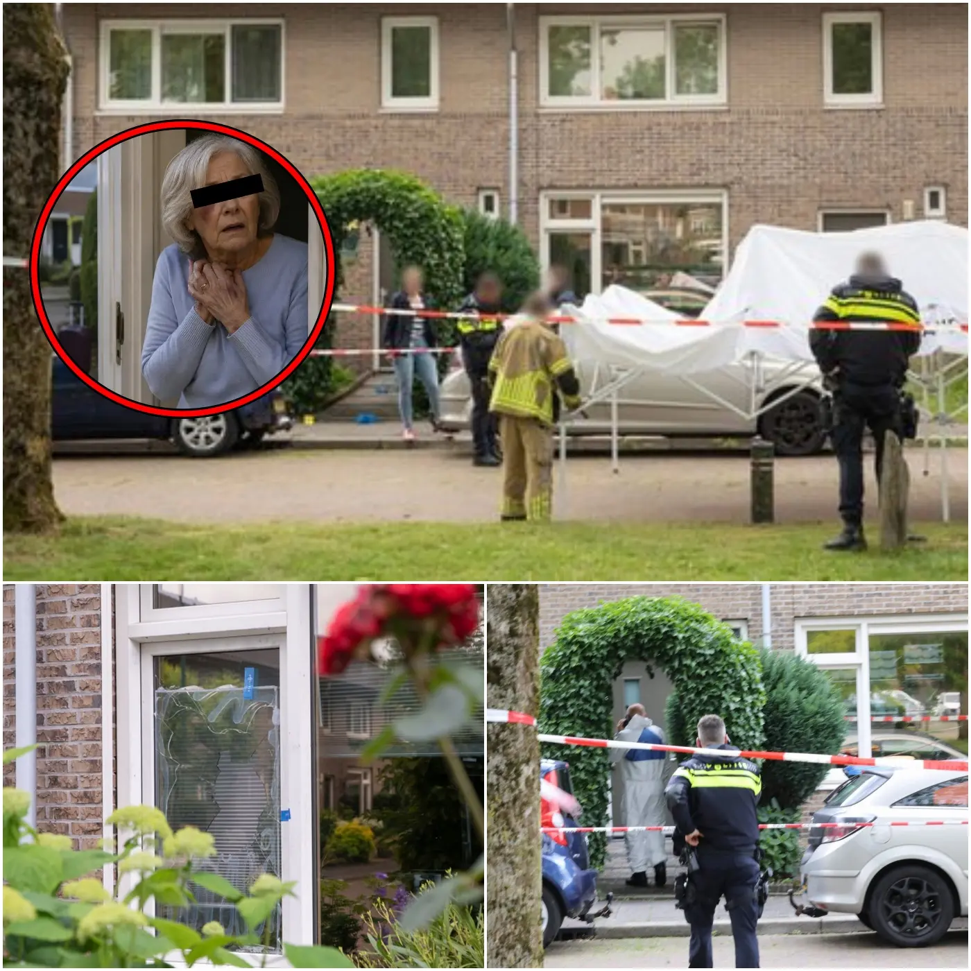 Cover Image for 🚨 GRUWELIJK: Schokkende details komen naar buiten! Bejaarde vrouw op brute wijze