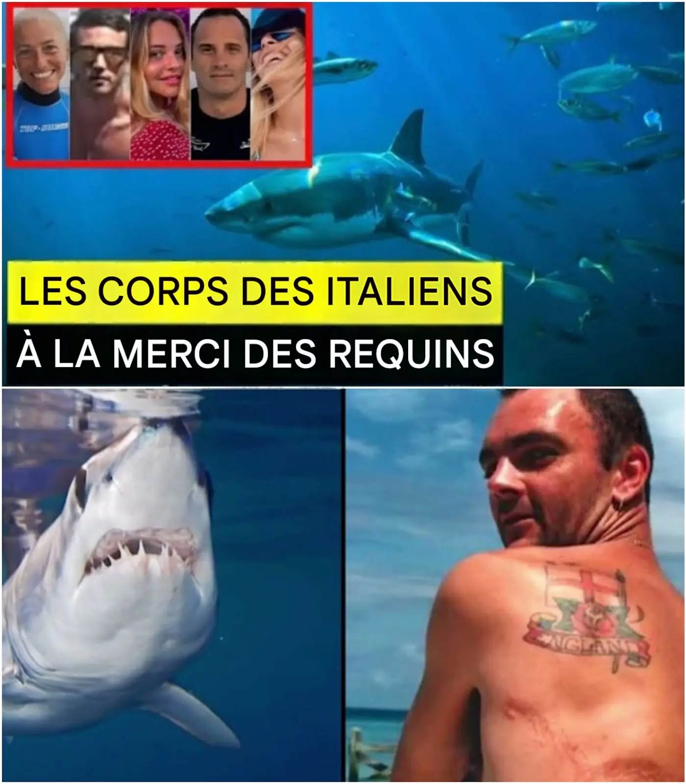 Cover Image for Une mission de récupération transformée en cauchemar dans les eaux cristallines des Maldives. Alors qu’ils recherchaient les corps des cinq plongeurs italiens disparus dans la grotte de Kekunu Kandu, les plongeurs finlandais se sont retrouvés face à face avec un requin-tigre qui visait les victimes.