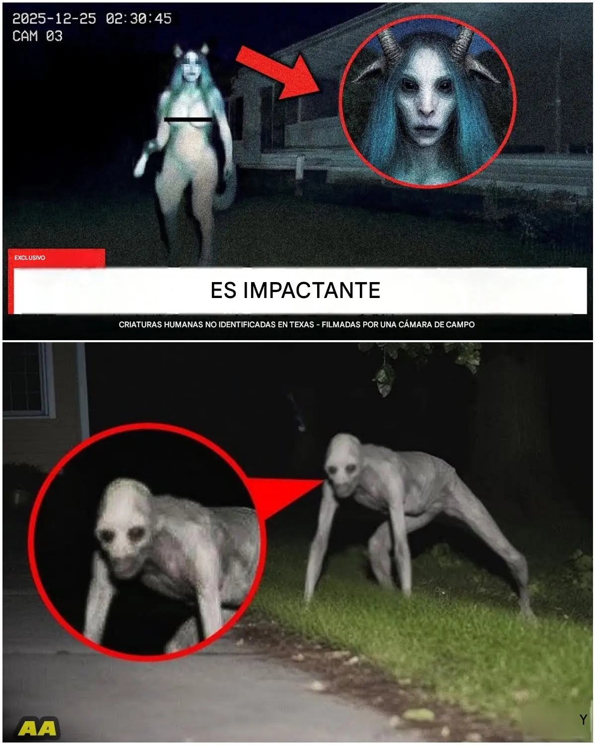Cover Image for ¿Qué se habrá filmado en los bosques de Texas? Criaturas humanoides inexplicables