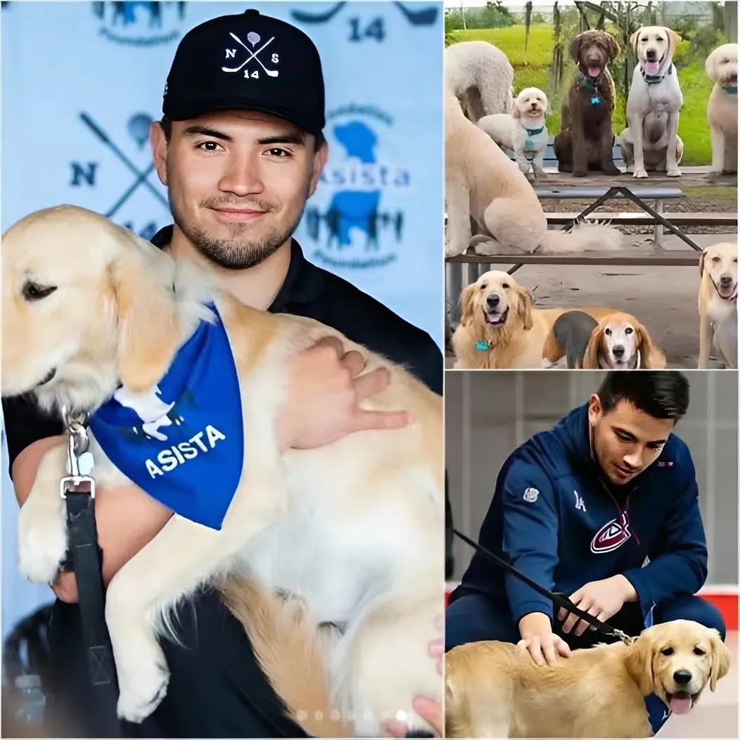 Cover Image for 🐾❤️ INCROYABLE MAIS VRAI : Alors qu’il était en vacances en famille, Nick Suzuki a appris qu’un refuge pour animaux était sur le point de fermer faute de ressources financières pour continuer ses activités.