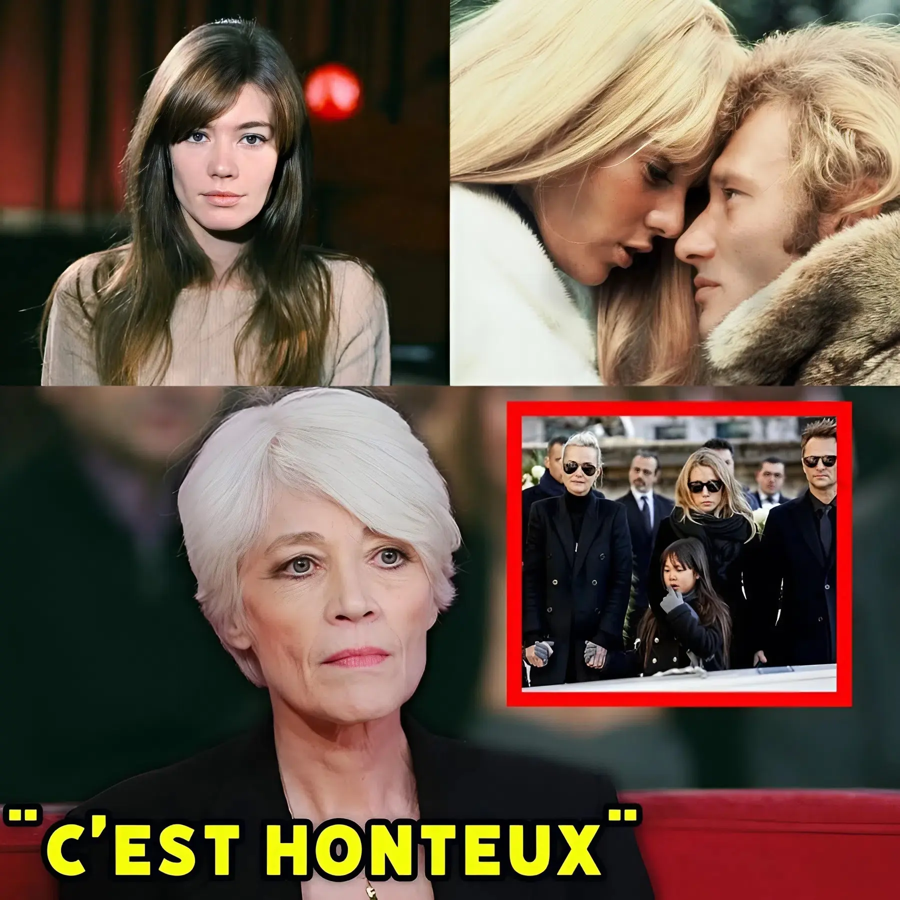 Cover Image for Ă 80 Ans, Françoise Hardy DĂ©cidait de Tout Balancer Sur lâAffaire Hallyday : Les Ultimes VĂ©ritĂ©s dâune IcĂŽne Libre