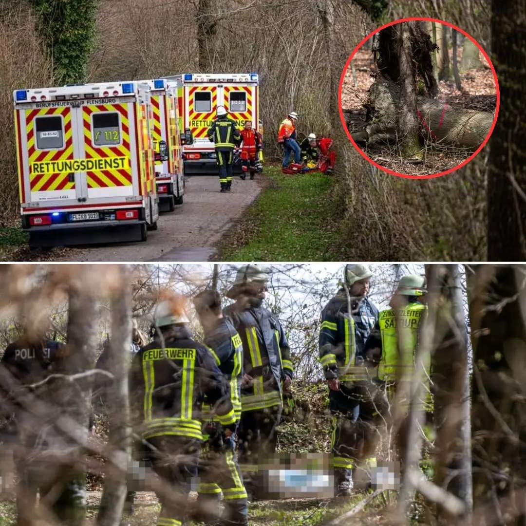 Cover Image for 🚨Moeder (21), haar baby en een tiener sterven nadat boom omvalt tijdens paaseierenzoektocht in Duitsland Volledige details hieronder 👇