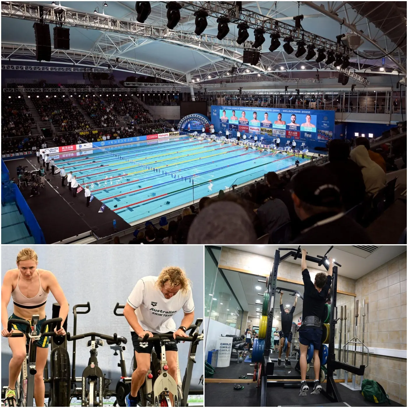 Cover Image for A remark from a former Australian national swimming coach has drawn significant attention within the international sports community, stating: “There are athletes who are in peak form, yet they are constantly required to prove themselves not only through their performances in the pool, but also through their ability to adapt to the system.”