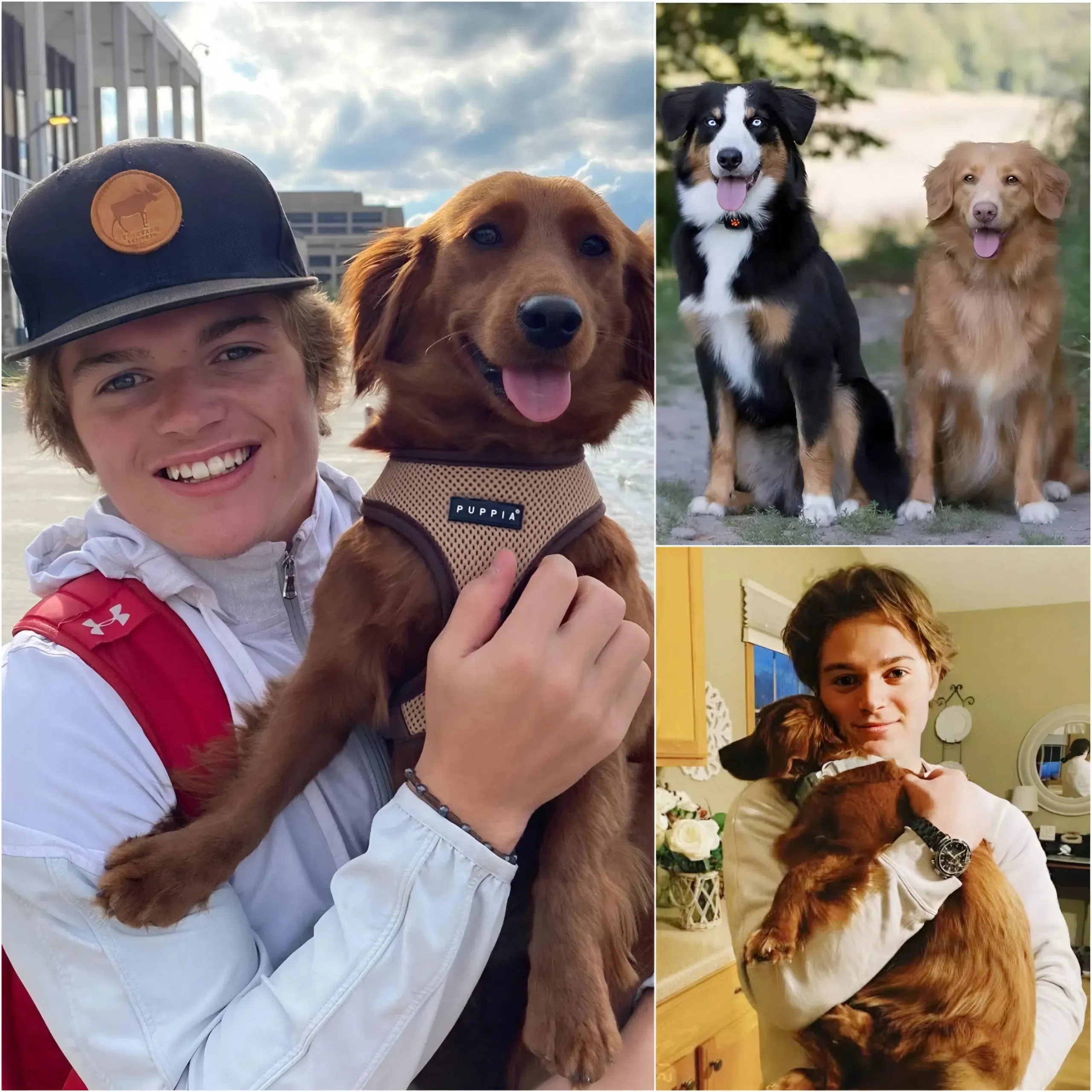 Cover Image for ❤️ BONNE NOUVELLE : Cole Caufield s’est discrètement rendu dans un refuge pour animaux de sa ville natale, 48 heures seulement avant sa fermeture définitive, menaçant ainsi 27 animaux d’euthanasie.