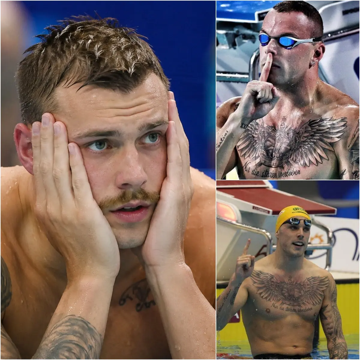 Cover Image for ❌ STOP SCROLLING: The Leaked Threatening Text From Inside The Dolphins That Is Ruining Kyle Chalmers!